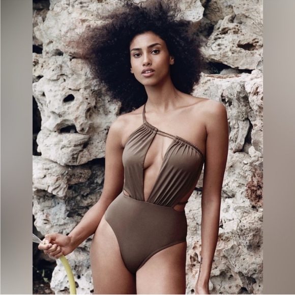 Elegant Brown One-Piece with Asymmetrical Cutouts - Picture 1 of 5